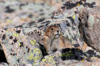 _DSC5521