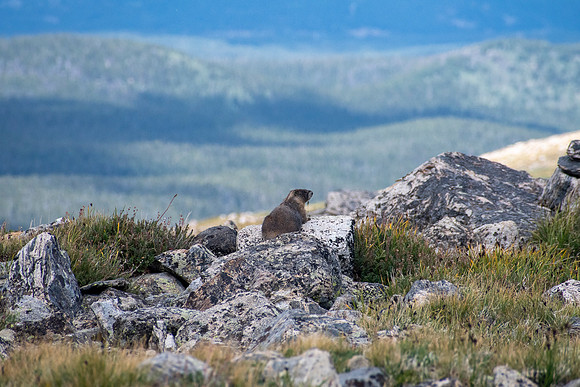 _DSC5579