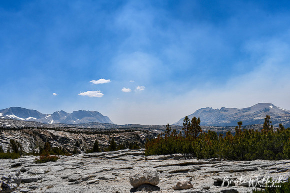 DSC_4268