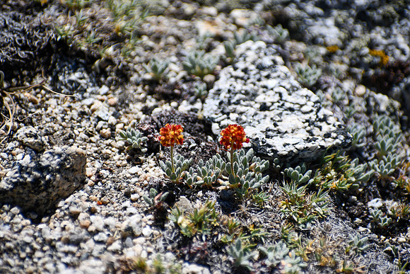 DSC_8904