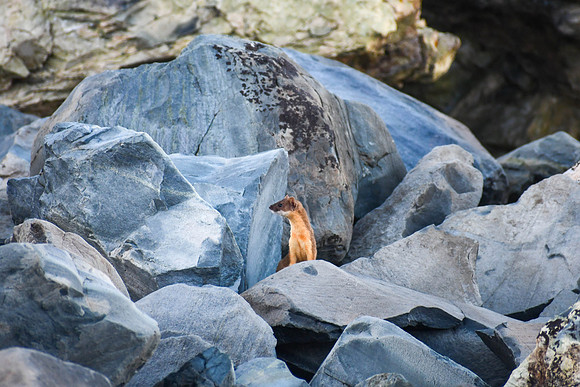 DSC_9422