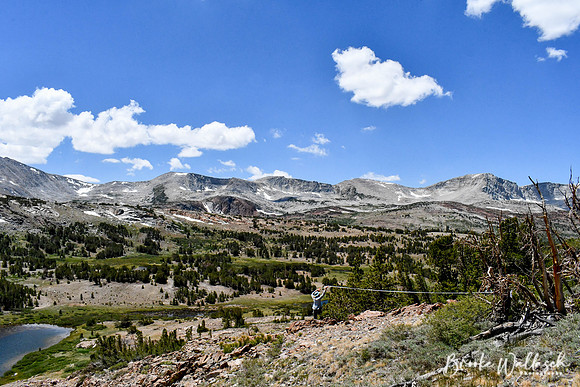 DSC_4507
