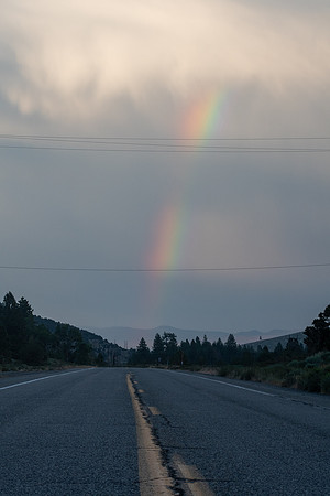 _DSC9814