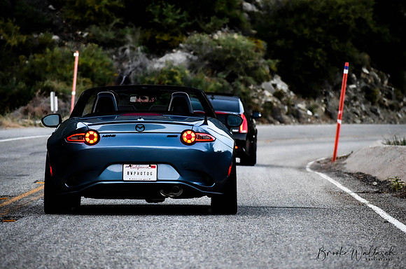 DSC_8909