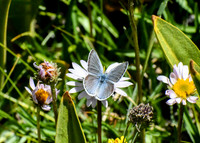 DSC_3951
