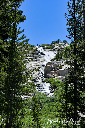 DSC_4113