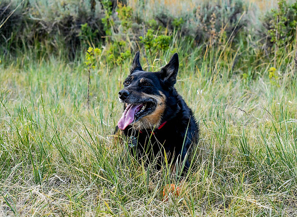 DSC_0316 (2)-2