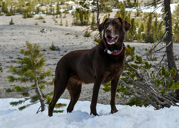DSC_1585