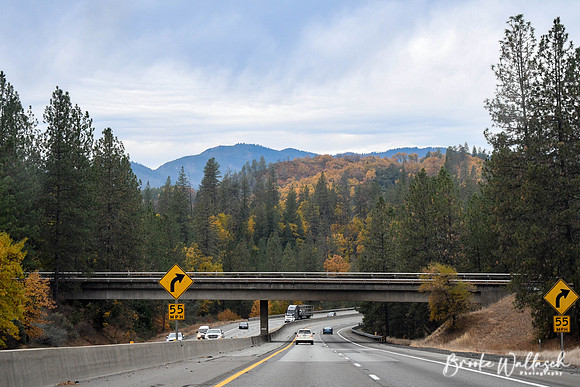 DSC_6156