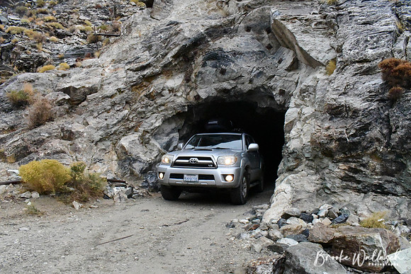 DSC_7252