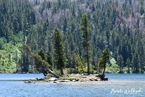 DSC_7844