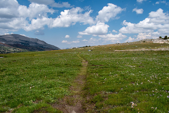 _DSC9801